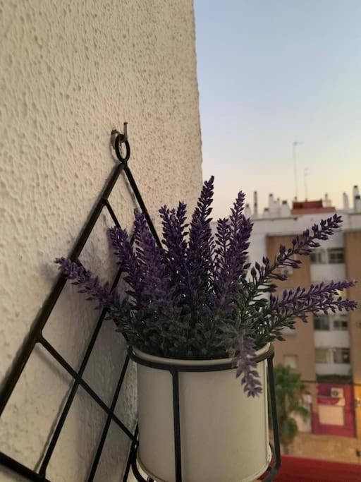 Anfitriones De Glamour - Albor De Sevilla Montequinto Exteriör bild